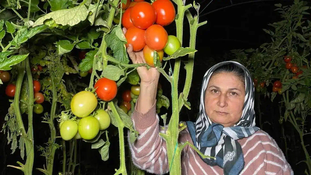 Termometrelerin Eksiye Düştüğü Mersin’de Zirai Don Seferberliği 5